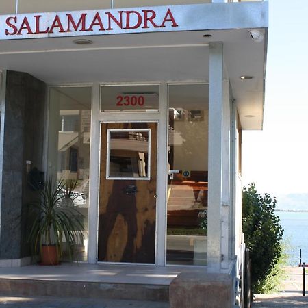 Salamandra Apartamentos Эль-Калафате Экстерьер фото