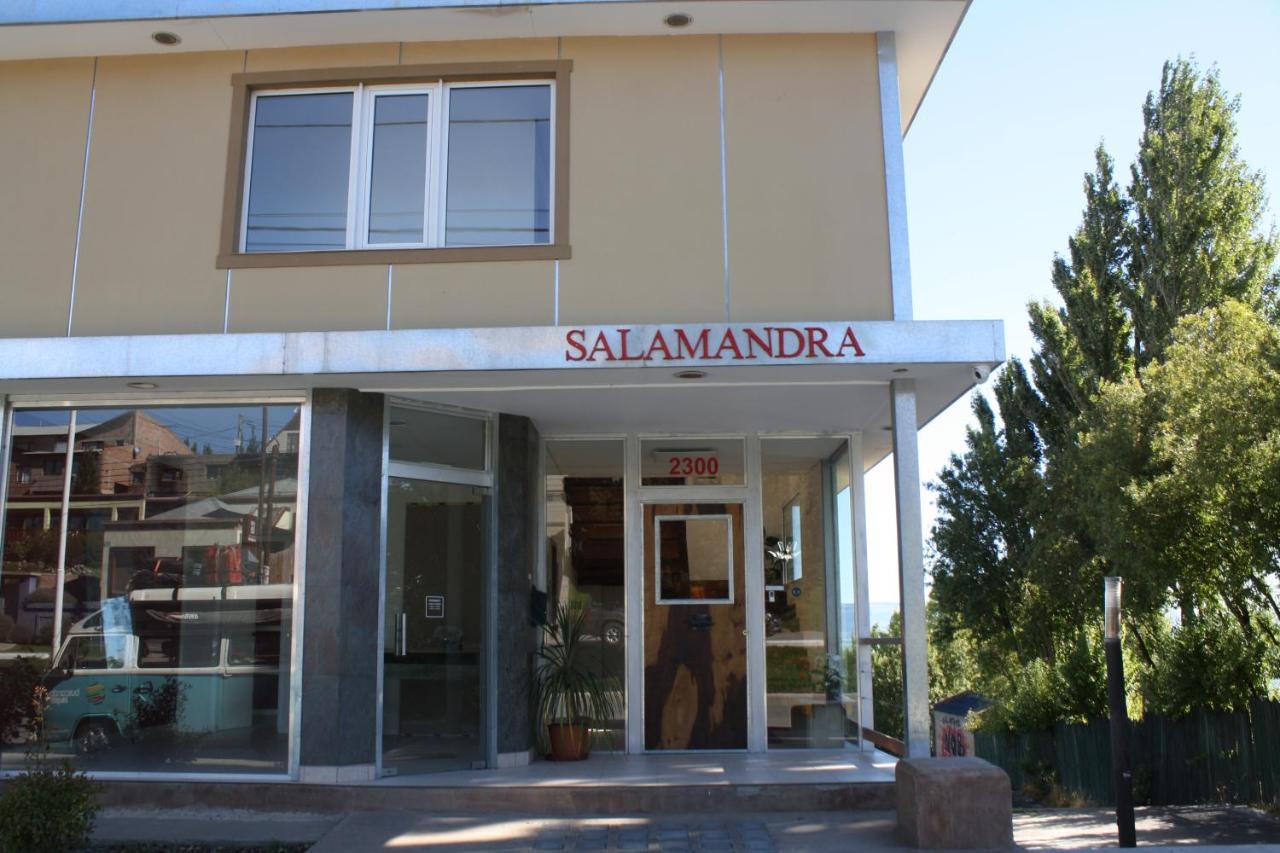 Salamandra Apartamentos Эль-Калафате Экстерьер фото